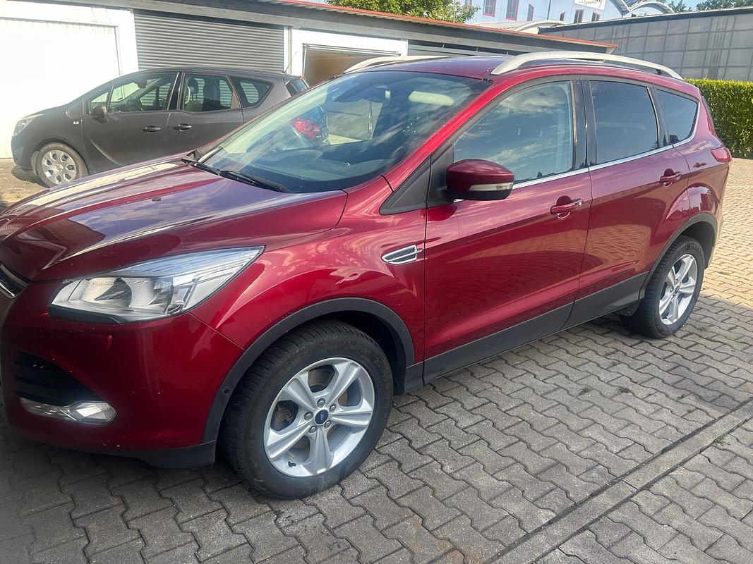 Kuga